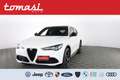 Alfa Romeo Stelvio Stelvio 2.2 Turbodiesel 210 CV AT8 Q4 Veloce Bianco - thumbnail 1