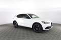 Alfa Romeo Stelvio Stelvio 2.2 Turbodiesel 210 CV AT8 Q4 Veloce Bianco - thumbnail 2