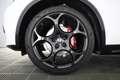 Alfa Romeo Stelvio Stelvio 2.2 Turbodiesel 210 CV AT8 Q4 Veloce Bianco - thumbnail 14