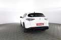 Alfa Romeo Stelvio Stelvio 2.2 Turbodiesel 210 CV AT8 Q4 Veloce Bianco - thumbnail 5