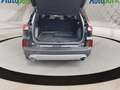 Ford Kuga TITANIUM Hybrid Schwarz - thumbnail 10