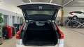 Volvo XC60 2.0 B4 D MOMENTUM PRO AUTO 197 CV - thumbnail 22