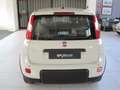 Fiat Panda 1.0 firefly hybrid (Red) s Bianco - thumbnail 5