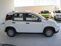 Fiat Panda 1.0 firefly hybrid (Red) s Bianco - thumbnail 4