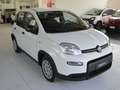 Fiat Panda 1.0 firefly hybrid (Red) s Bianco - thumbnail 3