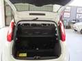 Fiat Panda 1.0 firefly hybrid (Red) s Bianco - thumbnail 6