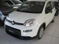 Fiat Panda 1.0 firefly hybrid (Red) s Bianco - thumbnail 1