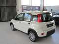 Fiat Panda 1.0 firefly hybrid (Red) s Bianco - thumbnail 7
