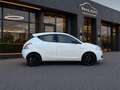 Lancia Ypsilon 0.9 TwinAir Elefantino Plus |CRUISE|ELEKTRISCHE RA Wit - thumbnail 23