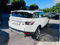 Land Rover Range Rover Evoque ALLRAD* 2,2l* Dynamic* TOP * Weiß - thumbnail 3