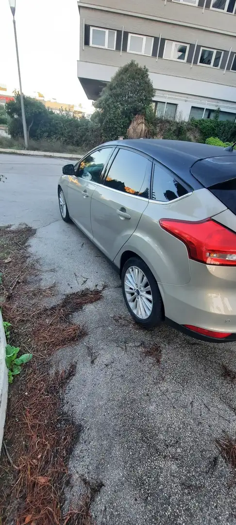Ford Focus Focus 5p 2.0 tdci Business s - 2