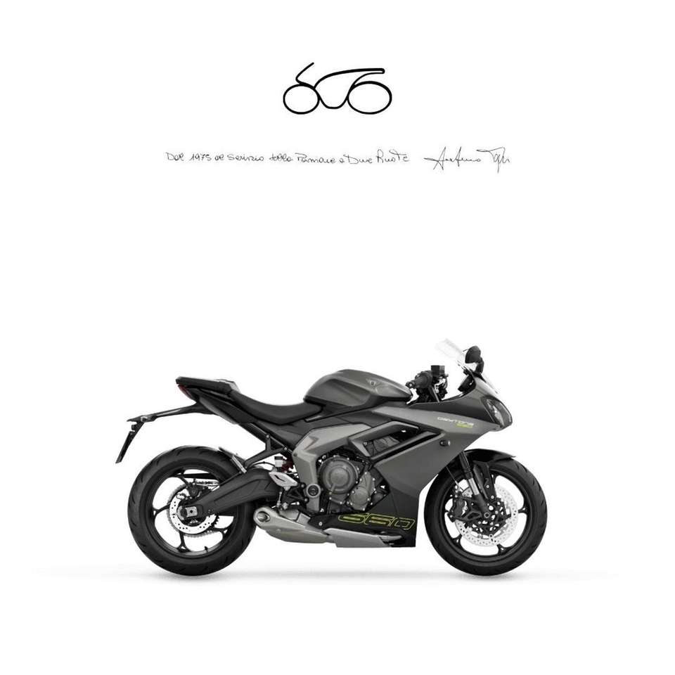 Triumph Daytona 600 Daytona 660