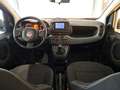 Fiat Panda 1.0 70CV S&S Hybrid Szary - thumbnail 8