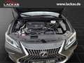 Lexus ES 300 h 300h EU6d *SHZ* *Carplay* Schwarz - thumbnail 20