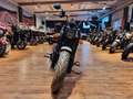 Indian Chief Bobber DH 100 Jahre  (1000/2,99%)) Gris - thumbnail 25