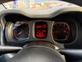 Fiat Panda Panda 1.0 FireFly S&S Hybrid Red Blau - thumbnail 11