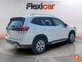 Subaru Forester 2.0i Hybrid Executive Plus CVT Blanc - thumbnail 8