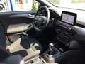 Ford Focus Turnier 1.0 EcoBoost Hybrid ST-LINE Schwarz - thumbnail 6