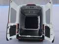 Ford Transit Kasten Trend 350L3H3 *EXPRESS-LINE-PAKET* Blanc - thumbnail 21