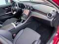Mercedes-Benz C 300 C300e Lim. 9G-TR Edition Avantgarde-360°CAM- Rouge - thumbnail 16