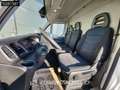 Iveco Daily 35C14 L2H2 3,5t Trekhaak Airco Cruise Euro6 L2 12m Wit - thumbnail 11