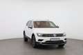 Volkswagen Tiguan VW Tiguan Alls. HL TDI 4MOTION DSG 5-Sitzer Weiß - thumbnail 8