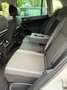 Volkswagen Tiguan Tiguan 1.6 tdi Business 115cv Bianco - thumbnail 8