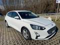 Ford Focus 1.0 ecoboost  Co-pilot Auto Hatchbak 5-door - thumbnail 3