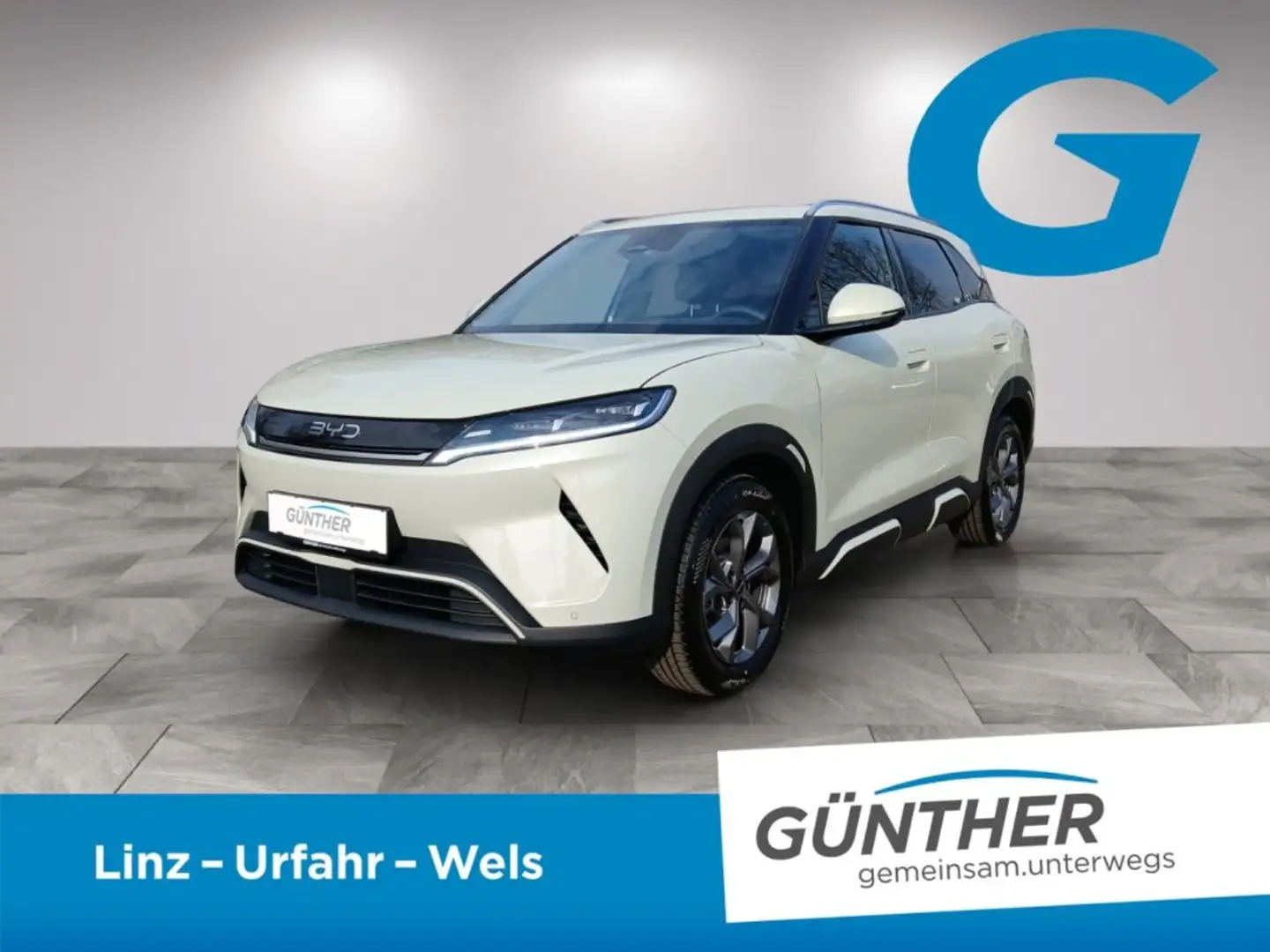 BYD Atto 2 ATTO2 Comfort Grün - 1