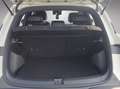 BYD Atto 2 ATTO2 Comfort Grün - thumbnail 21