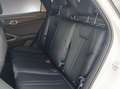 BYD Atto 2 ATTO2 Comfort Grün - thumbnail 16