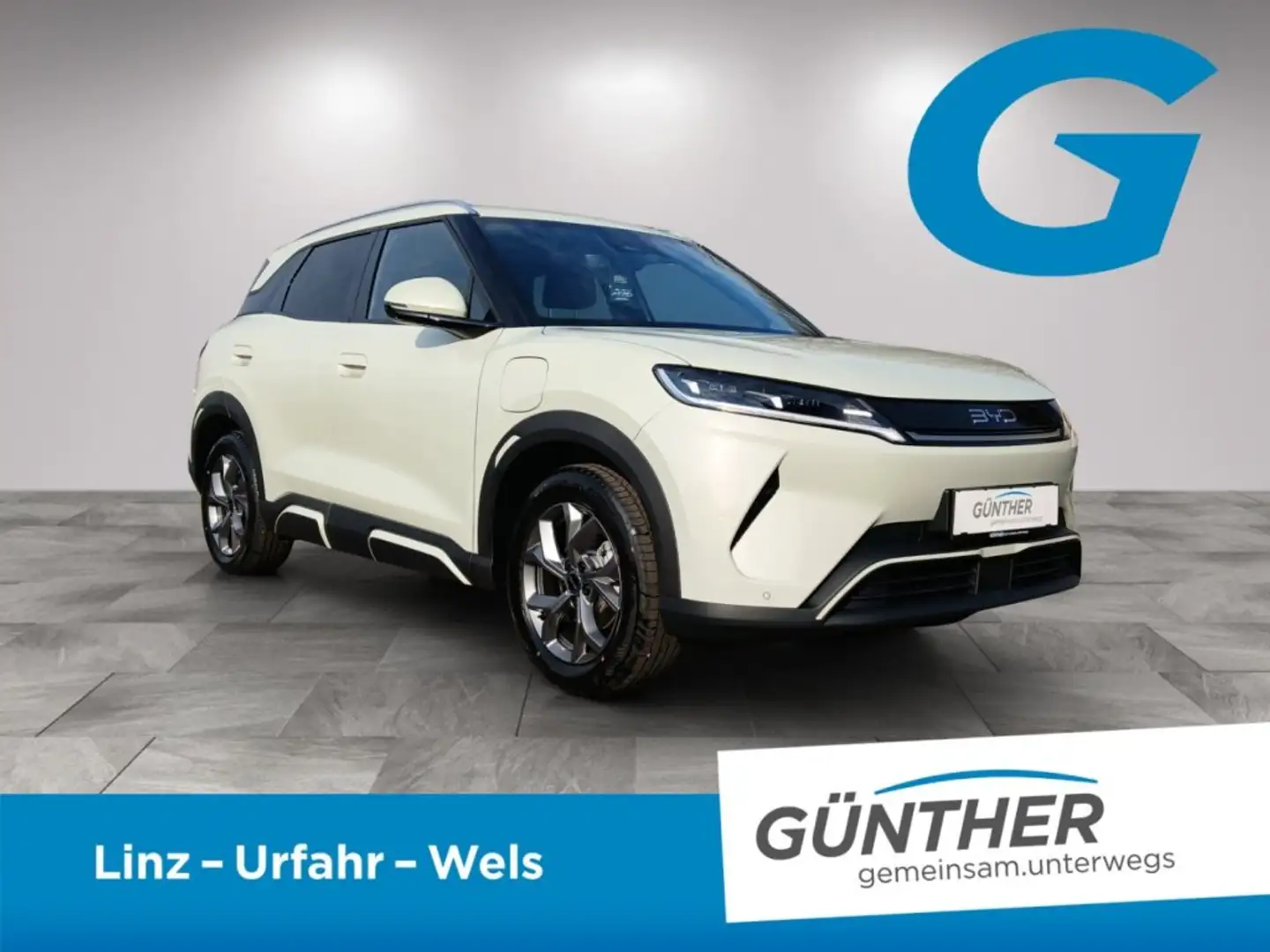 BYD Atto 2 ATTO2 Comfort Grün - 2