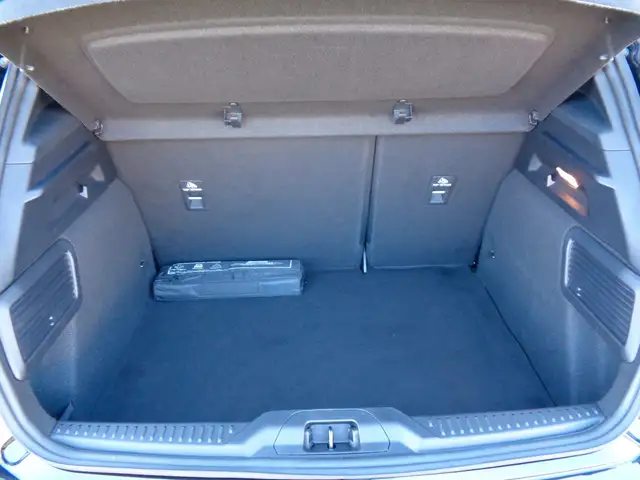 Ford Focus view 9