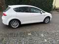 SEAT Leon Style Ecomotive Weiß - thumbnail 6