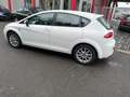 SEAT Leon Style Ecomotive Weiß - thumbnail 2