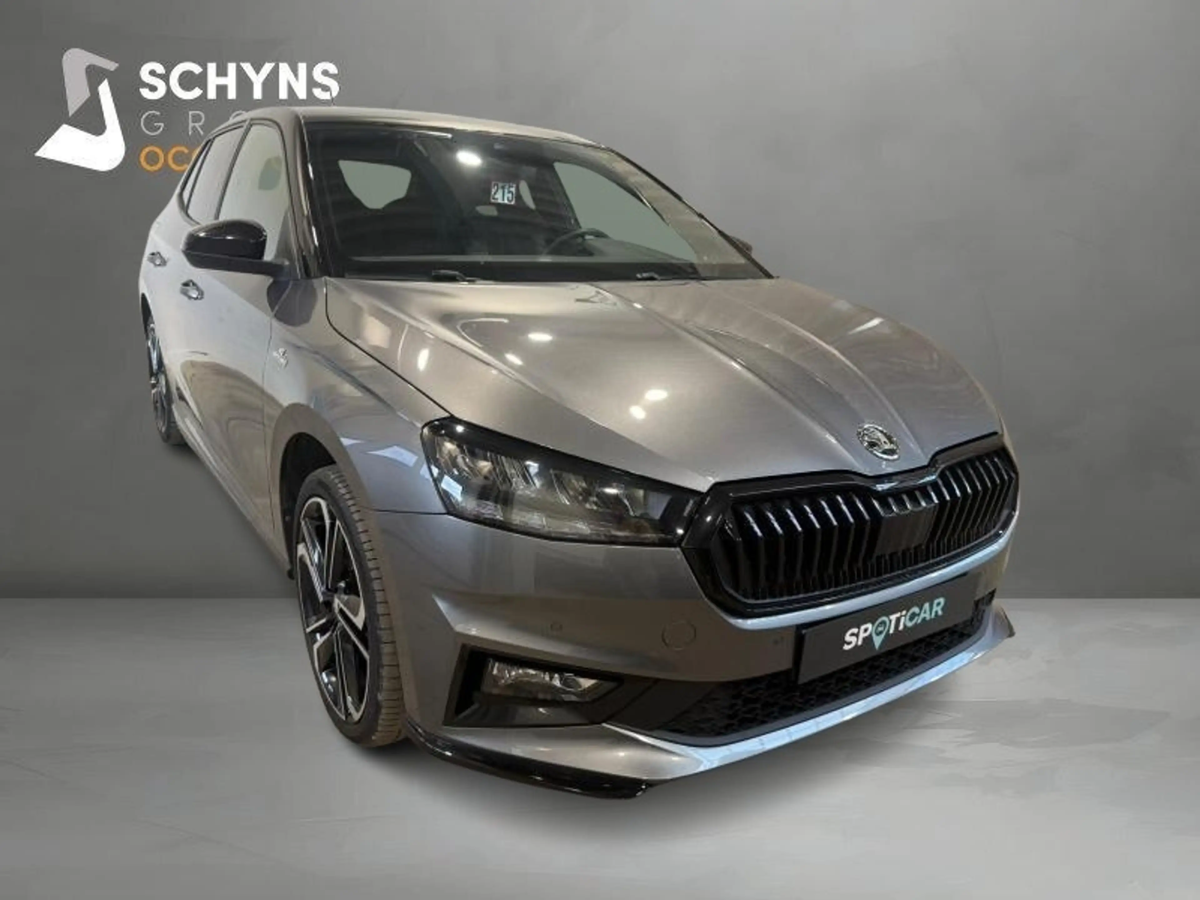 Skoda Fabia Monte Carlo — photo 3