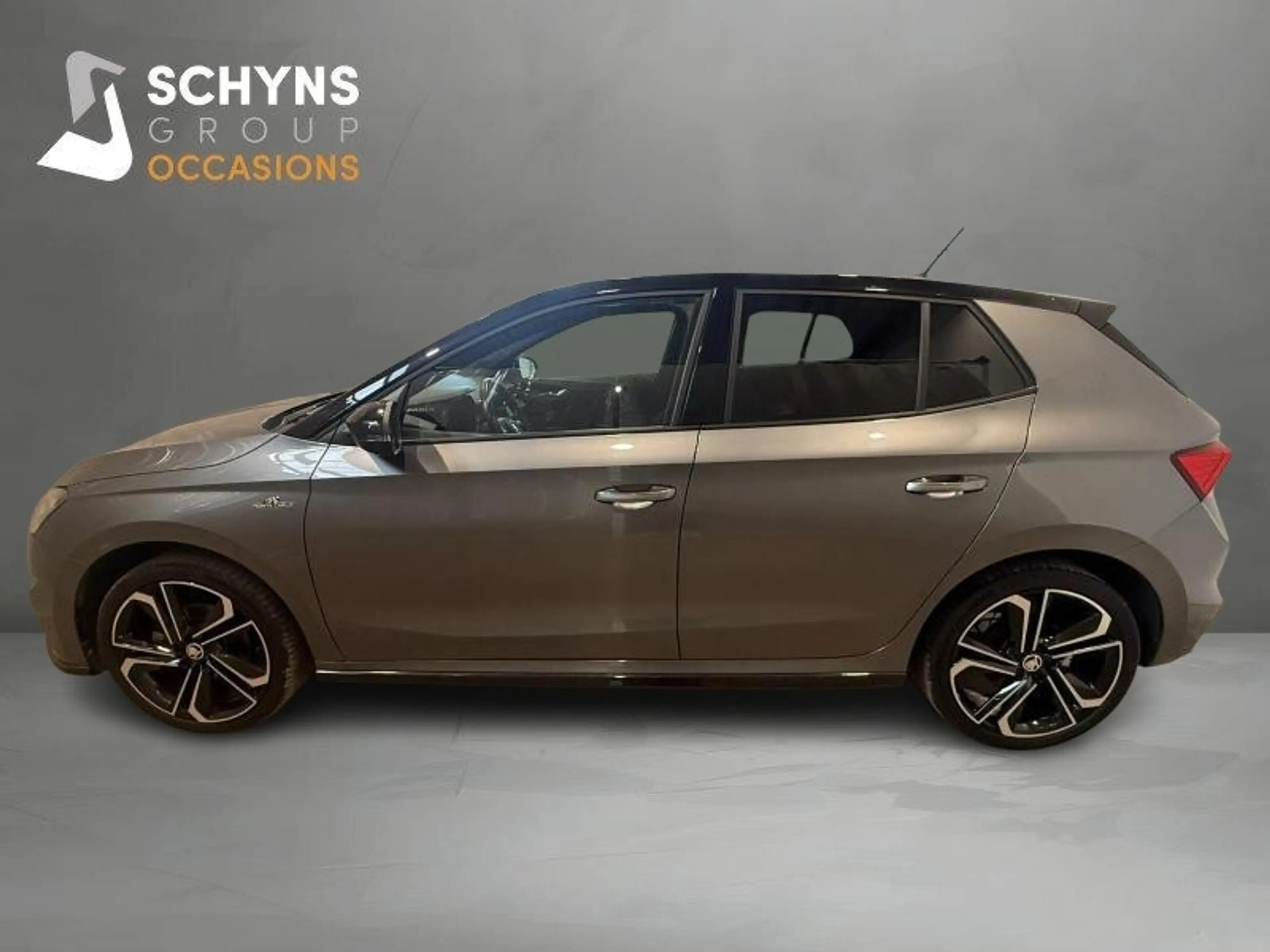 Skoda Fabia Monte Carlo — photo 8