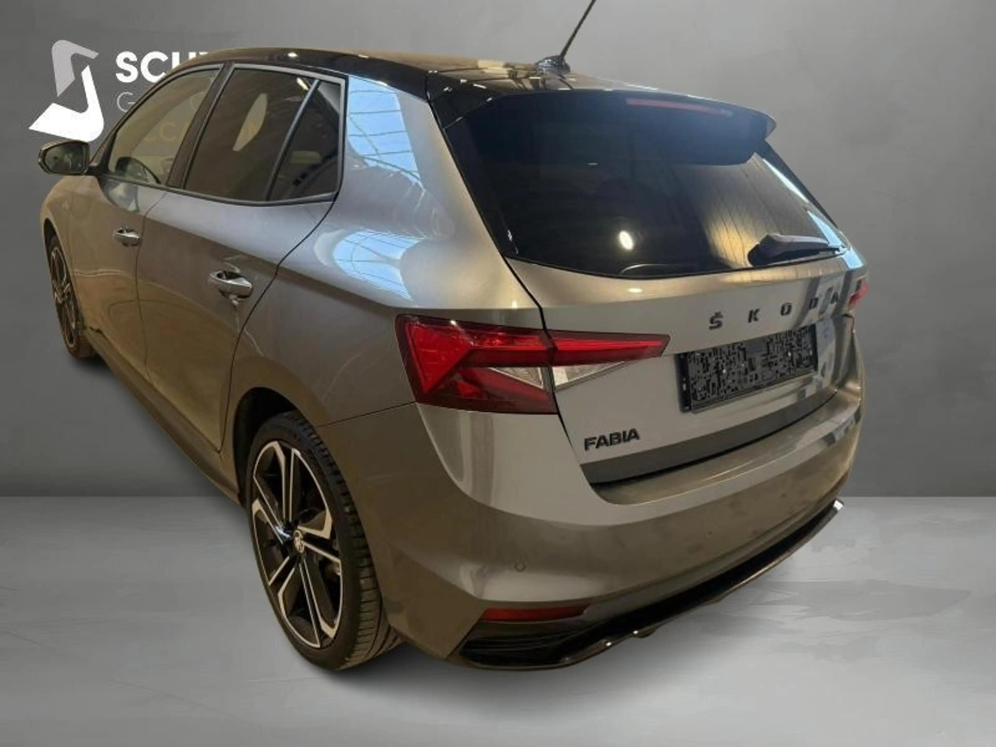 Skoda Fabia Monte Carlo — photo 7