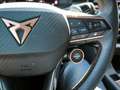 CUPRA Terramar 1.5 TSI e-Hybrid 150kW (204 CV) DSG Beyo Blanco - thumbnail 35