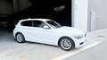 BMW 116 116d Efficient Dynamics Bianco - thumbnail 2