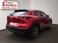Mazda CX-30 G140 AT PRIME-LINE AUT DynLicht HUD Kam. Rot - thumbnail 13