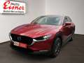 Mazda CX-30 G140 AT PRIME-LINE AUT DynLicht HUD Kam. Rot - thumbnail 2