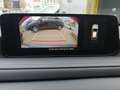 Mazda CX-30 G140 AT PRIME-LINE AUT DynLicht HUD Kam. Rot - thumbnail 18