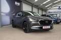 Mazda CX-30 2.5 e-SKYACTIV-G Homura 2WD KAMERA/NAVI/TO Grau - thumbnail 5