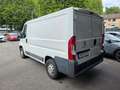 Peugeot Boxer Kasten 330 L1H1 Avantage Edition HDi 110 Blanc - thumbnail 6
