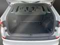 Skoda Kodiaq 2.0 TDI DSG Sportline 4x4 NAVI*PANO*AHK Klima Weiß - thumbnail 21
