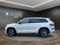 Skoda Kodiaq 2.0 TDI DSG Sportline 4x4 NAVI*PANO*AHK Klima Weiß - thumbnail 8