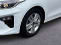 Kia Ceed / cee'd Blanco - thumbnail 7