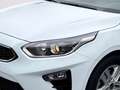 Kia Ceed / cee'd Blanco - thumbnail 6