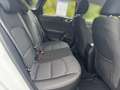 Kia Ceed / cee'd Blanco - thumbnail 14